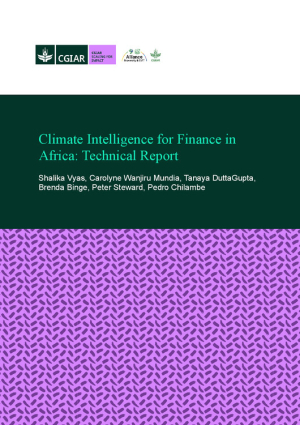 250831_Report_S4I_AFRACA_fin 4.pdf.jpg