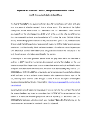 25_Report on the release of “Camello”, drought tolerant Urochloa cultivar.pdf.jpg