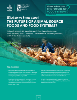 28-BK_2025_Foresight_AnimalSourceFoods_web.pdf.jpg