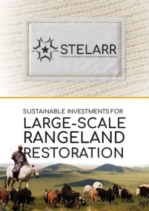 2_2024_ilri_brochure_stelarr.pdf.jpg