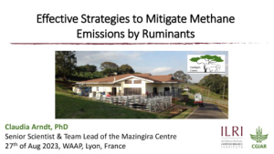 5_WAAP_Effective strategies to mitigate methane emissions by ruminants_V2.pdf.jpg