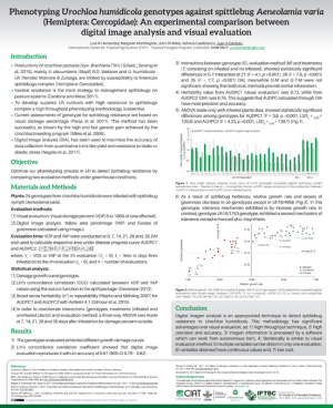 6 Castiblanco- Phenotyping Urochloa humidicola genotypes against spitt.._ (002).pdf.jpg