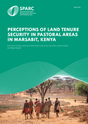 7_Kenya-Land-Tenure-report-V6 copy.pdf.jpg