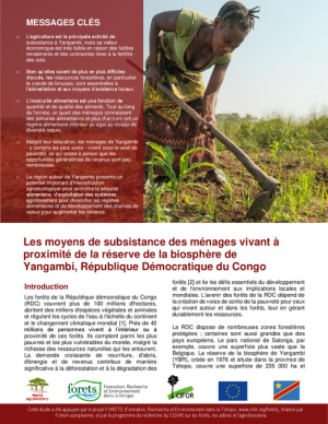 9.Nowak_2019_Brief RHoMIS (FR).pdf.jpg