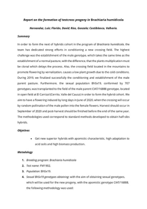 9_Report on the formation of testcross progeny in Brachiaria humidicola-edit.pdf.jpg