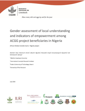 ACGG Epowerment_report.pdf.jpg