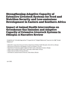 ACIAR Impact of Animal Health Interventions_Report.pdf.jpg