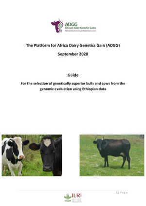 ADGG_Eth_Bullcow_Guide_2020.pdf.jpg
