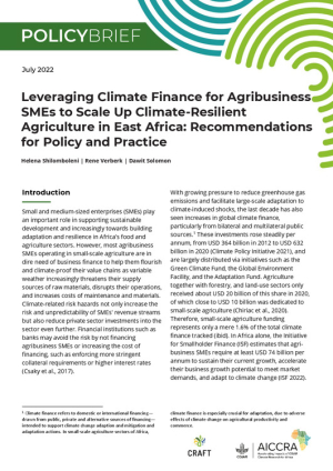 AICCRA CRAFT Policy Brief.pdf.jpg