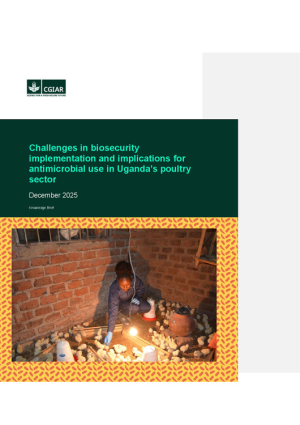 AMR Knowledge brief.pdf.jpg