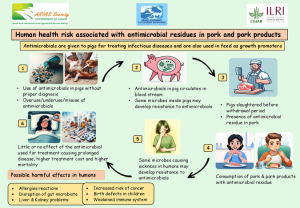 AMR pork.pdf.jpg