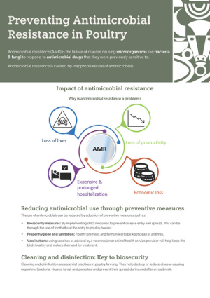 AMR_Brochure_A4Size.pdf.jpg