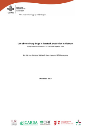 AMUSE_vietnam_ report.pdf.jpg