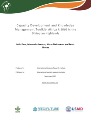 AR_Ethiopia_CDToolkit.pdf.jpg