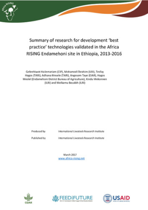 AR_Ethiopia_Endamehoni_practices_mar2017.pdf.jpg