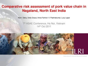 ASAE 2011 Nagaland pork value chain_final.pdf.jpg