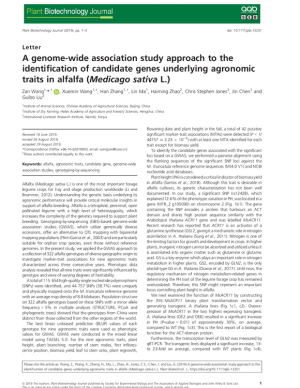 Aalfalfa_(Medicago sativa L.).pdf.jpg