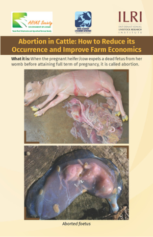 Abortion cattle.pdf.jpg