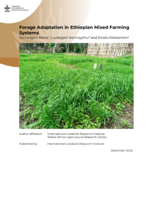 Adaptation of forages_2024.pdf.jpg