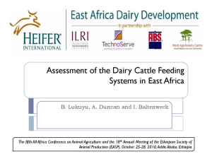 Addis conference 2010.pdf.jpg