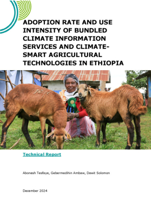 Adoption study report.pdf.jpg