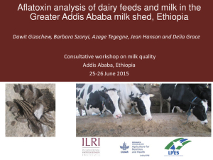 Aflatoxin analysis of dairy feeds (2).pdf.jpg