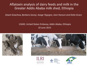 Aflatoxin analysis of dairy feeds.pdf.jpg