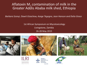 Aflatoxin contamination of milk in Addis.pdf.jpg