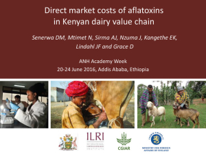 Aflatoxin direct market costs.pdf.jpg