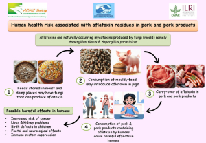 Aflatoxin in pork.pdf.jpg