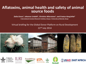 Aflatoxins animal health and food safety.pdf.jpg