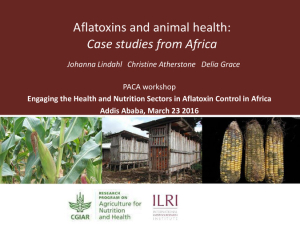 Aflatoxins animal health.pdf.jpg