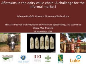 Aflatoxins dairy.jpg