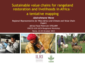 Africa tentative mapping.pdf.jpg