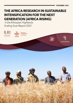 Africa_RISING_report.pdf.jpg