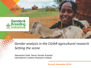 Alessandra Gaile - Gender Analaysis in CGIAR.pdf.jpg