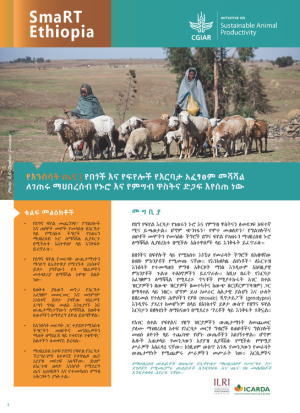 Amharic SMaRT Ethiopia #2.pdf.jpg