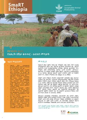 Amharic SMaRT Ethiopia #3.pdf.jpg
