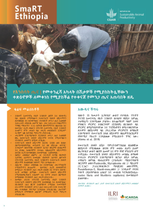 Amharic SMaRT Ethiopia #8.pdf.jpg