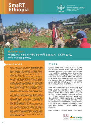 Amharic SMaRT Ethiopia #9.pdf.jpg