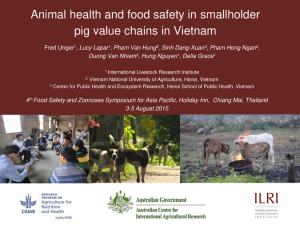 Animal health food safety Vietnam pig value chains.pdf.jpg