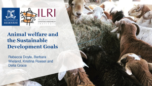 Animal welfare SDGs.pdf.jpg