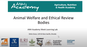 Animal welfare ethical review.png