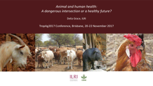 AnimalHumanHealth.pdf.jpg