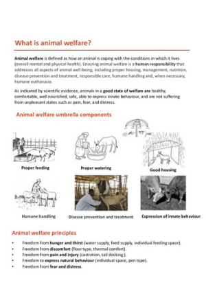 AnimalWelfare__poster.pdf.jpg