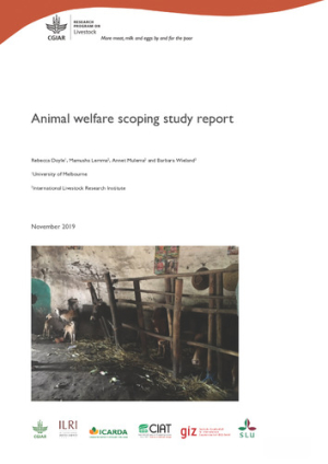 Animalwelfare_scoping_study_report.pdf.jpg
