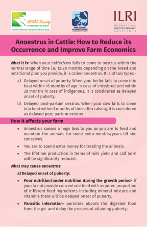 Anoestrus.pdf.jpg