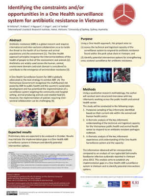 Antibiotic resistance VN.pdf.jpg