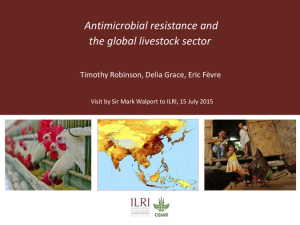 Antimicrobial resistance global livestock sector.pdf.jpg