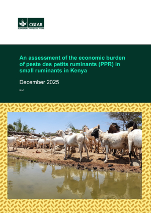 Assessment_burden_PPR_Kenya.pdf.jpg